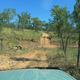 Illustration for article titled AWOL Around Australia... Part 43. Lorella Springs Station.